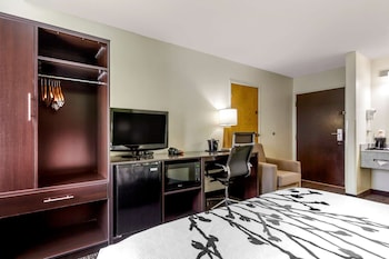 Standard Room, 1 Queen Bed, Non Smoking