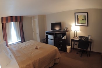 Standard Room, 1 King Bed, Non Smoking