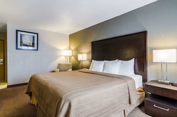 Room, 1 King Bed, Accessible, Non Smoking