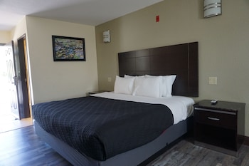 Standard Room, 1 King Bed, Mountain View
