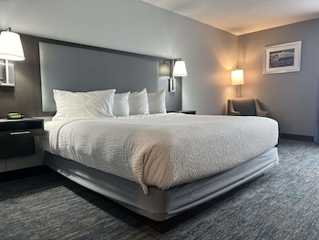 Standard Room, 1 King Bed, Accessible, Refrigerator & Microwave