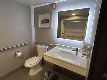 Standard Room, 1 King Bed, Accessible, Refrigerator & Microwave