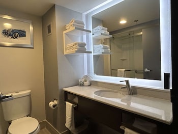 Executive Room, 1 King Bed, Non Smoking, Refrigerator & Microwave (Shower Only)