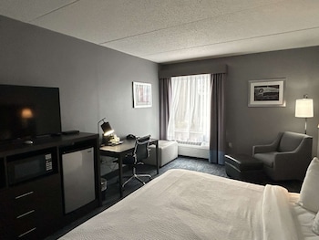 Executive Room, 1 King Bed, Non Smoking, Refrigerator & Microwave (Shower Only)
