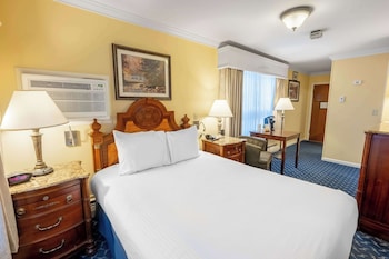 Standard Room, 1 Queen Bed, Non Smoking, Refrigerator (Pet Friendly)