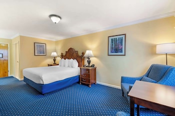 Standard Room, 1 King Bed, Non Smoking, Refrigerator & Microwave (Pet Friendly)