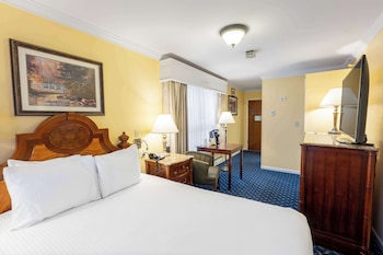 Standard Room, 1 Queen Bed, Non Smoking, Refrigerator (Pet Friendly)