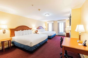 Executive Suite, Multiple Beds, Non Smoking, Fireplace