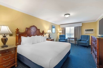Standard Room, 1 King Bed, Non Smoking, Refrigerator & Microwave (Pet Friendly)