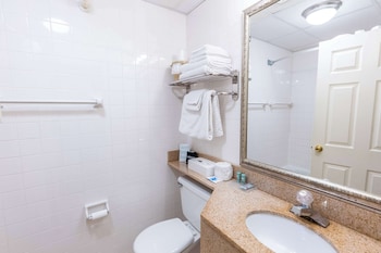 Standard Room, 1 Queen Bed, Non Smoking, Refrigerator (Pet Friendly)