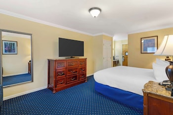 Standard Room, 1 King Bed, Non Smoking, Refrigerator & Microwave (Pet Friendly)