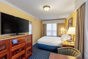 Standard Room, 1 Queen Bed, Non Smoking, Refrigerator (Pet Friendly)