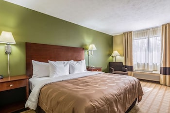 Room, 1 King Bed