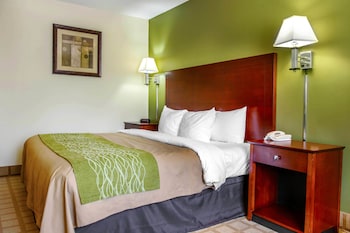 Room, 1 King Bed