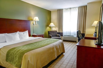 Room, 1 King Bed