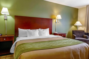 Room, 1 King Bed