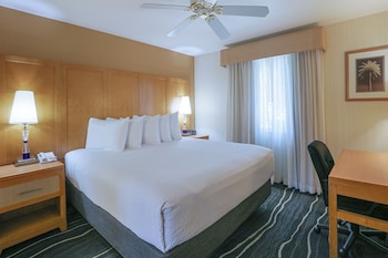 Suite, 1 King Bed, Non Smoking