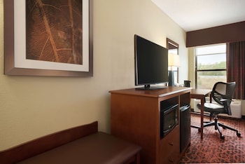 Room, 1 King Bed