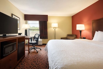 Room, 1 King Bed