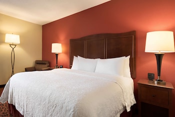 Room, 1 King Bed
