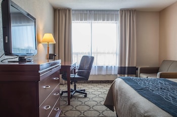 Standard Room, 1 Queen Bed, Non Smoking