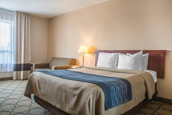 Standard Room, 1 Queen Bed, Non Smoking