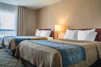 Standard Double Room, 2 Double Beds, Non Smoking