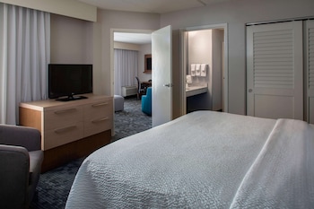 Suite, 1 King Bed with Sofa bed
