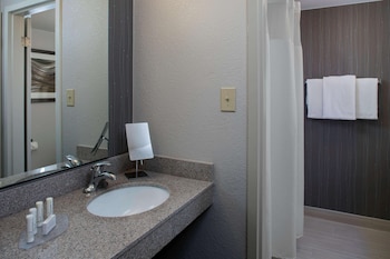 Suite, 1 King Bed with Sofa bed