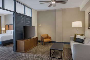 Premium Two Room Suite,1 King Bed with Sofa Bed