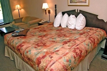 Room, 1 King Bed, Non Smoking