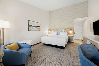 Room, 1 King Bed