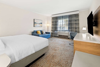 Room, 1 King Bed