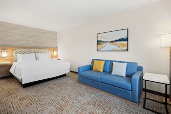 Room, 1 King Bed