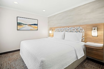 Room, 1 King Bed