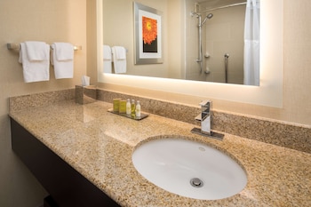 1 King Bed, Accessible, Bathtub