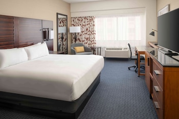 1 King Bed