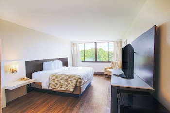 Room, 1 King Bed, Non Smoking