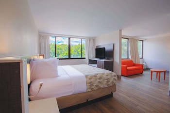Deluxe Suite, 1 King Bed, Non Smoking