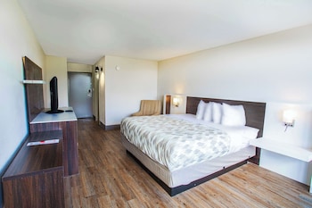 Room, 1 King Bed, Non Smoking