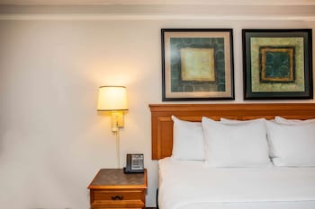 Deluxe Room, 1 King Bed, Non Smoking