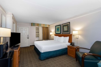 Room, 1 King Bed, Accessible, Non Smoking (Accessible Tub)