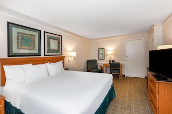 Room, 1 King Bed, Accessible, Non Smoking (Accessible Tub)