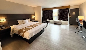Suite, 1 King Bed with Sofa bed, Non Smoking
