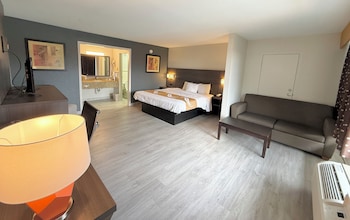 Room, 1 Double Bed, Accessible, Smoking