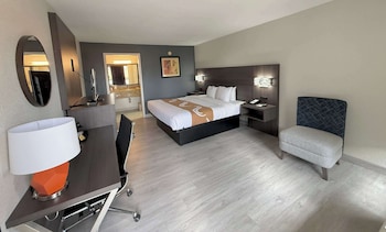 Room, 1 Double Bed, Accessible, Non Smoking