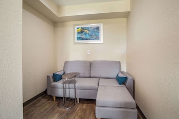Suite, 1 King Bed with Sofa bed, Smoking (Upgrade)