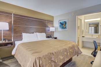 Standard Room, 1 King Bed, Non Smoking
