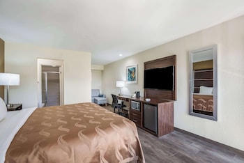 Suite, 1 King Bed with Sofa bed, Smoking (Upgrade)