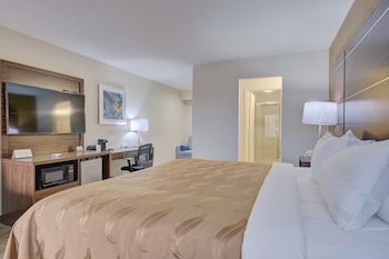 Standard Room, 1 King Bed, Non Smoking